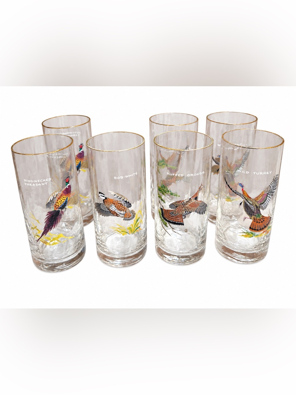 Vintage Ned Smith Game Bird Highball Glasses Set of 7 Gold Rim MCM